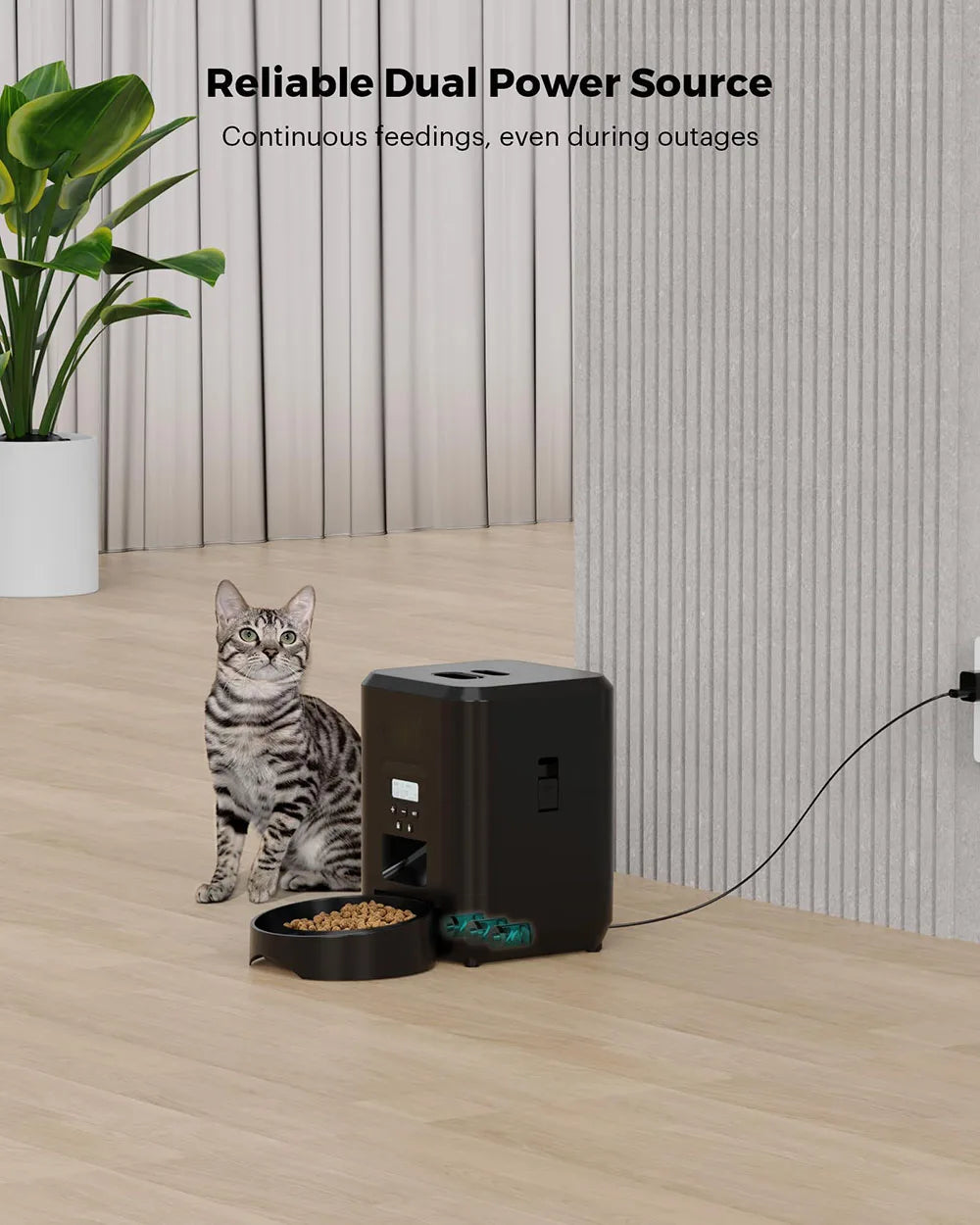 Distributeur automatique intelligent pour animaux de compagnie avec minuterie