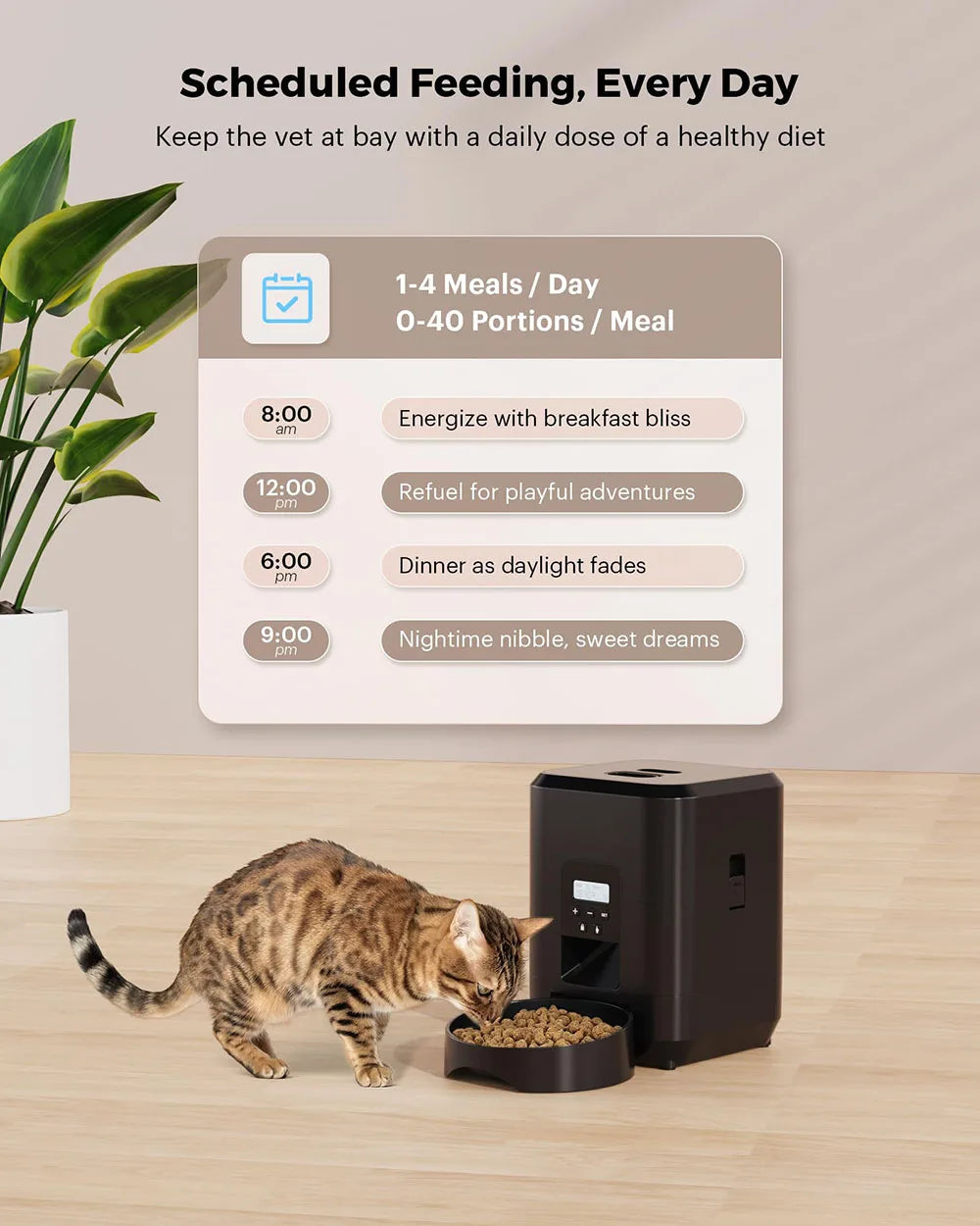 Distributeur automatique intelligent pour animaux de compagnie avec minuterie