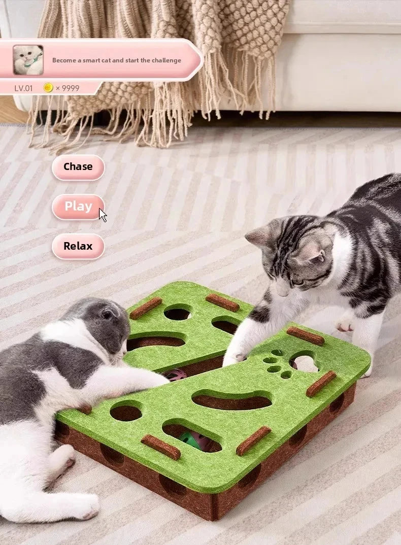 Jouet d'exercice pour chat en feutre en forme de boîte-puzzle