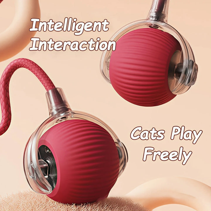 Balle Interactive Intelligente pour Chat