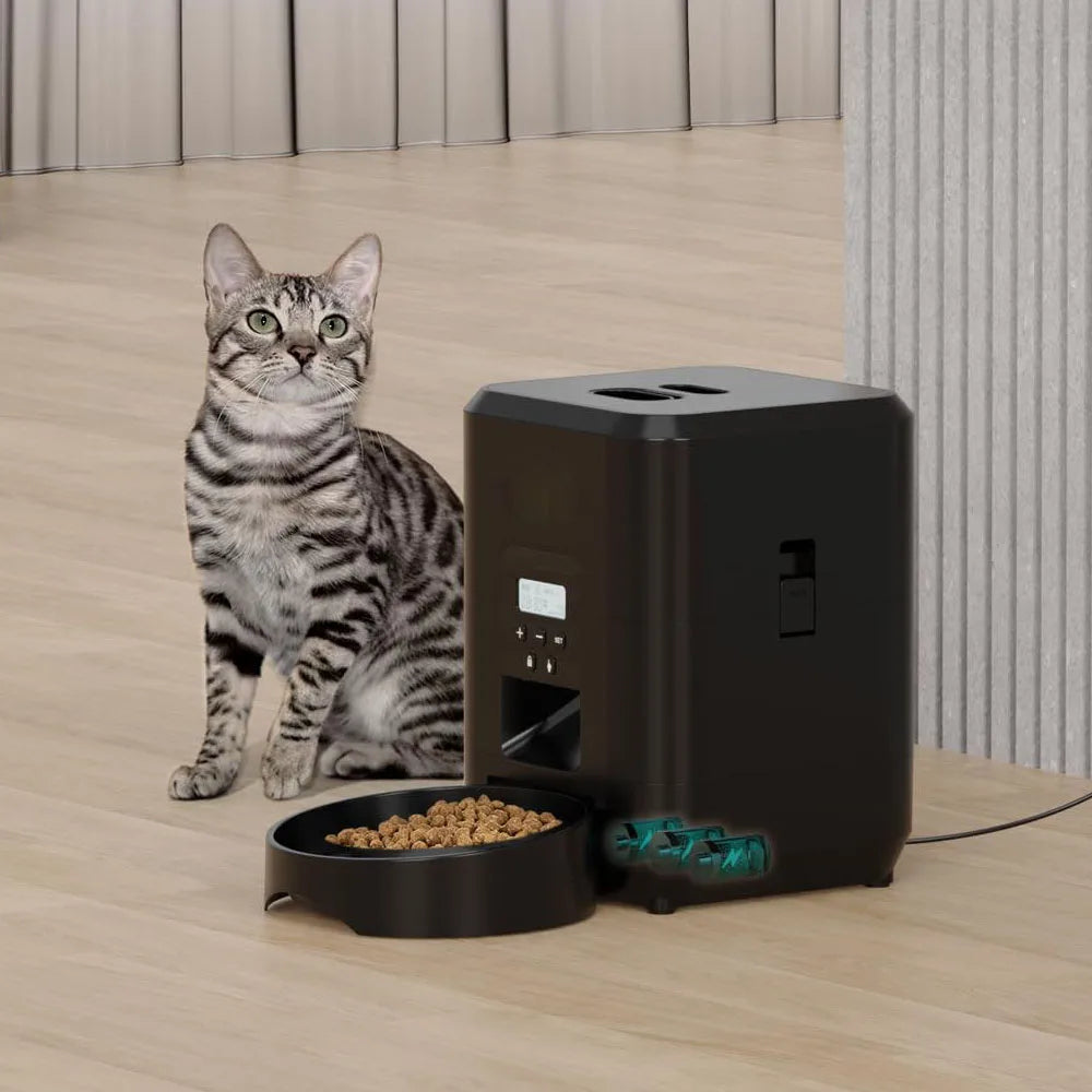 Distributeur automatique intelligent pour animaux de compagnie avec minuterie