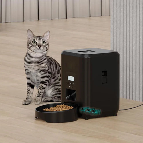 Distributeur automatique intelligent pour animaux de compagnie avec minuterie