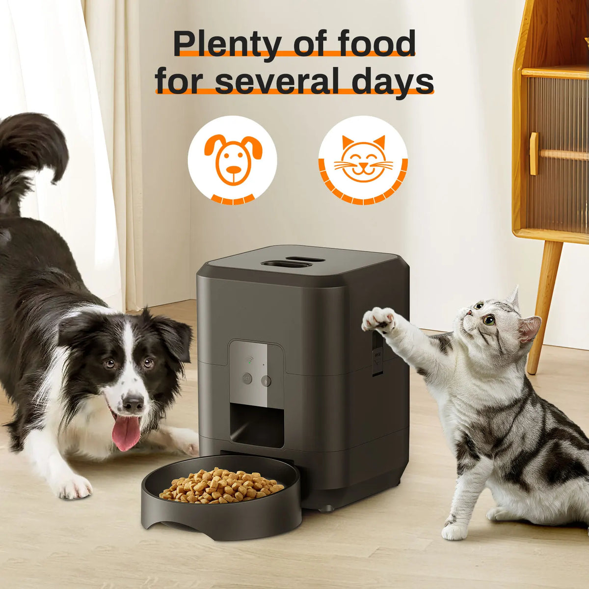 Distributeur automatique intelligent pour animaux de compagnie avec minuterie