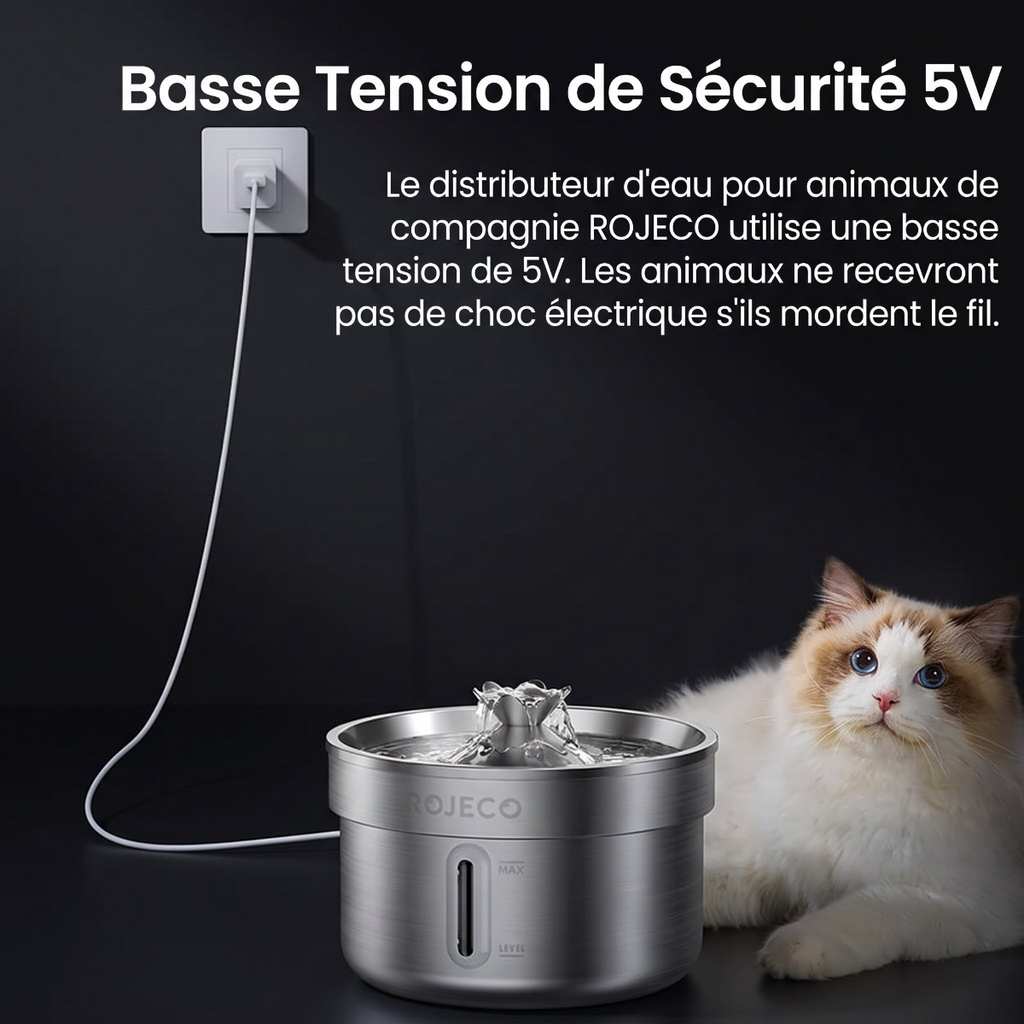 Fontaine à eau automatique en acier inoxydable pour animaux de compagnie, 2 L