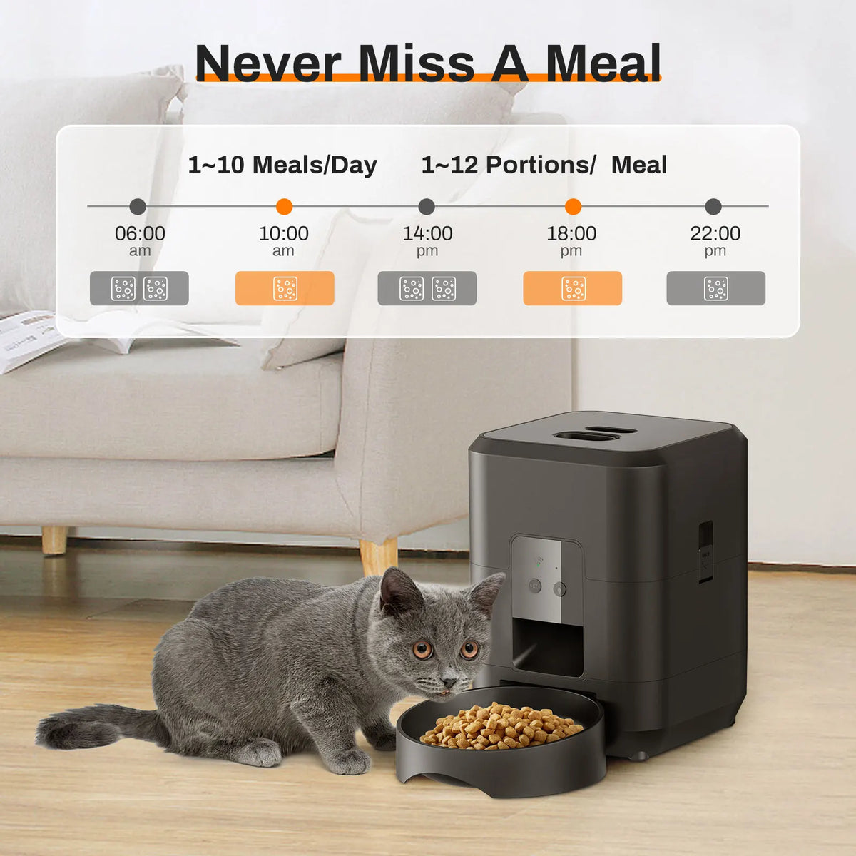 Distributeur automatique intelligent pour animaux de compagnie avec minuterie