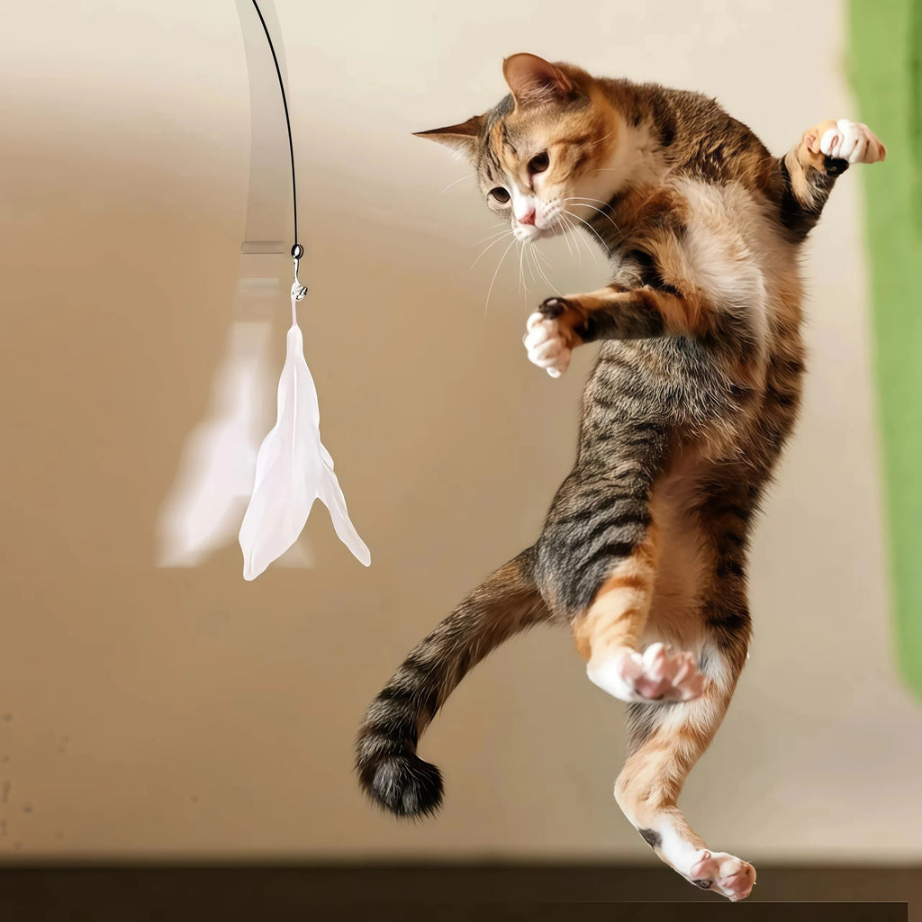 Baguette plume arc-en-ciel pour chat
