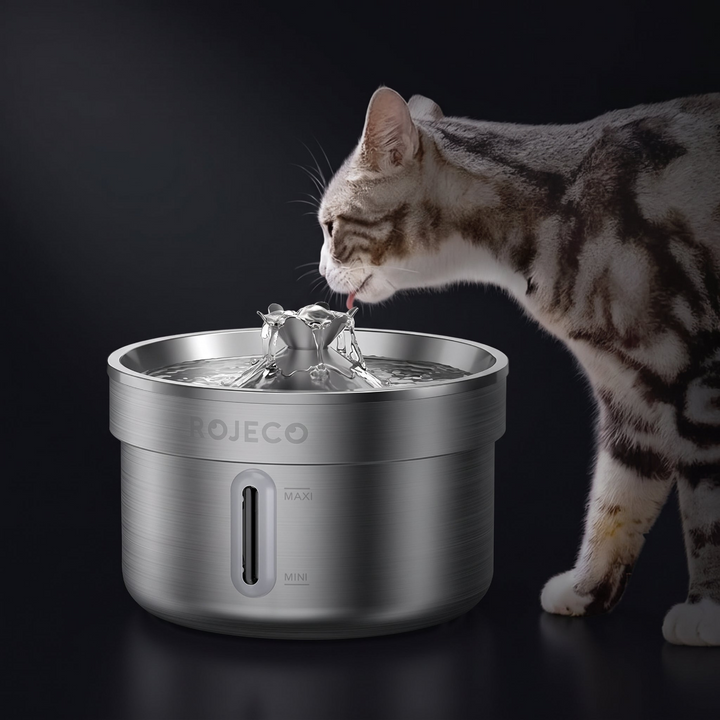 Fontaine à eau automatique en acier inoxydable pour animaux de compagnie, 2 L