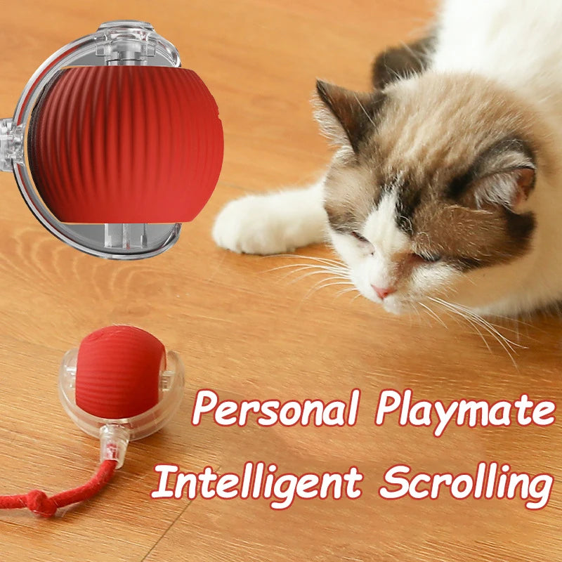 Balle Interactive Intelligente pour Chat
