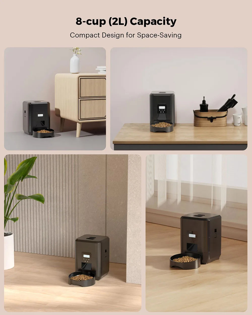 Distributeur automatique intelligent pour animaux de compagnie avec minuterie