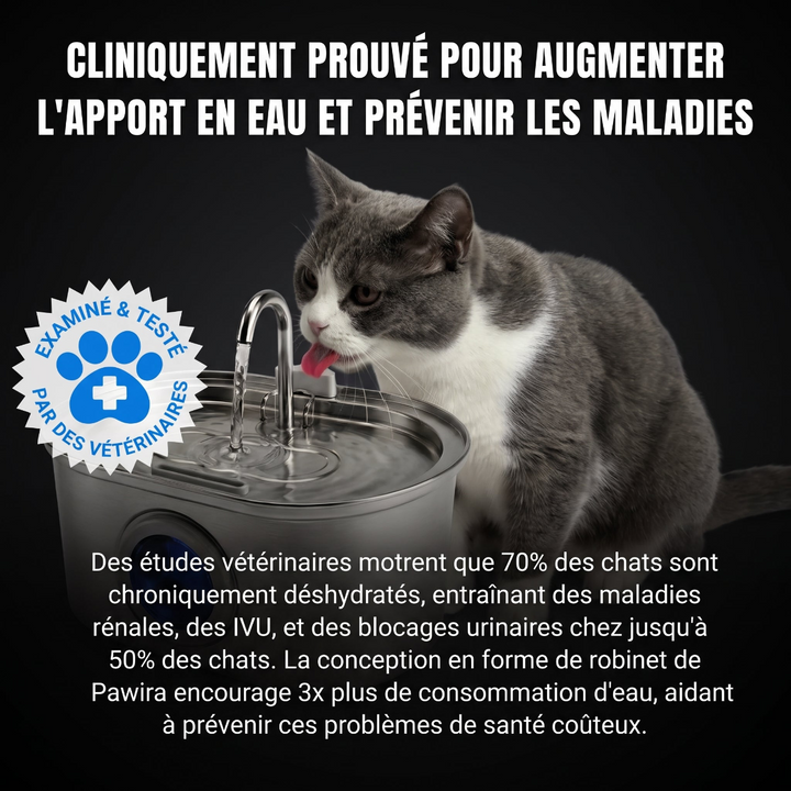 La Source — Fontaine à eau en acier inoxydable pour chats