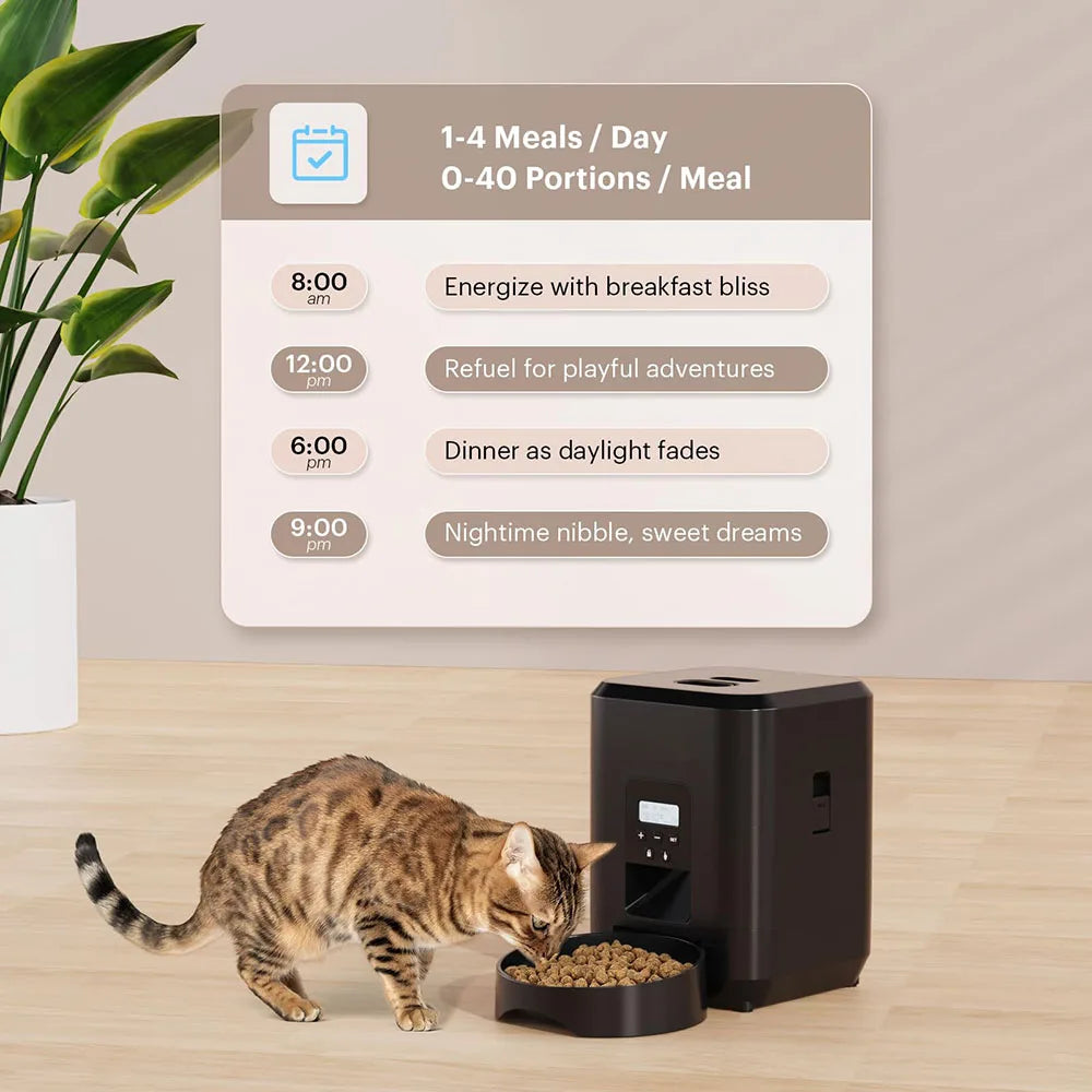 Distributeur automatique intelligent pour animaux de compagnie avec minuterie