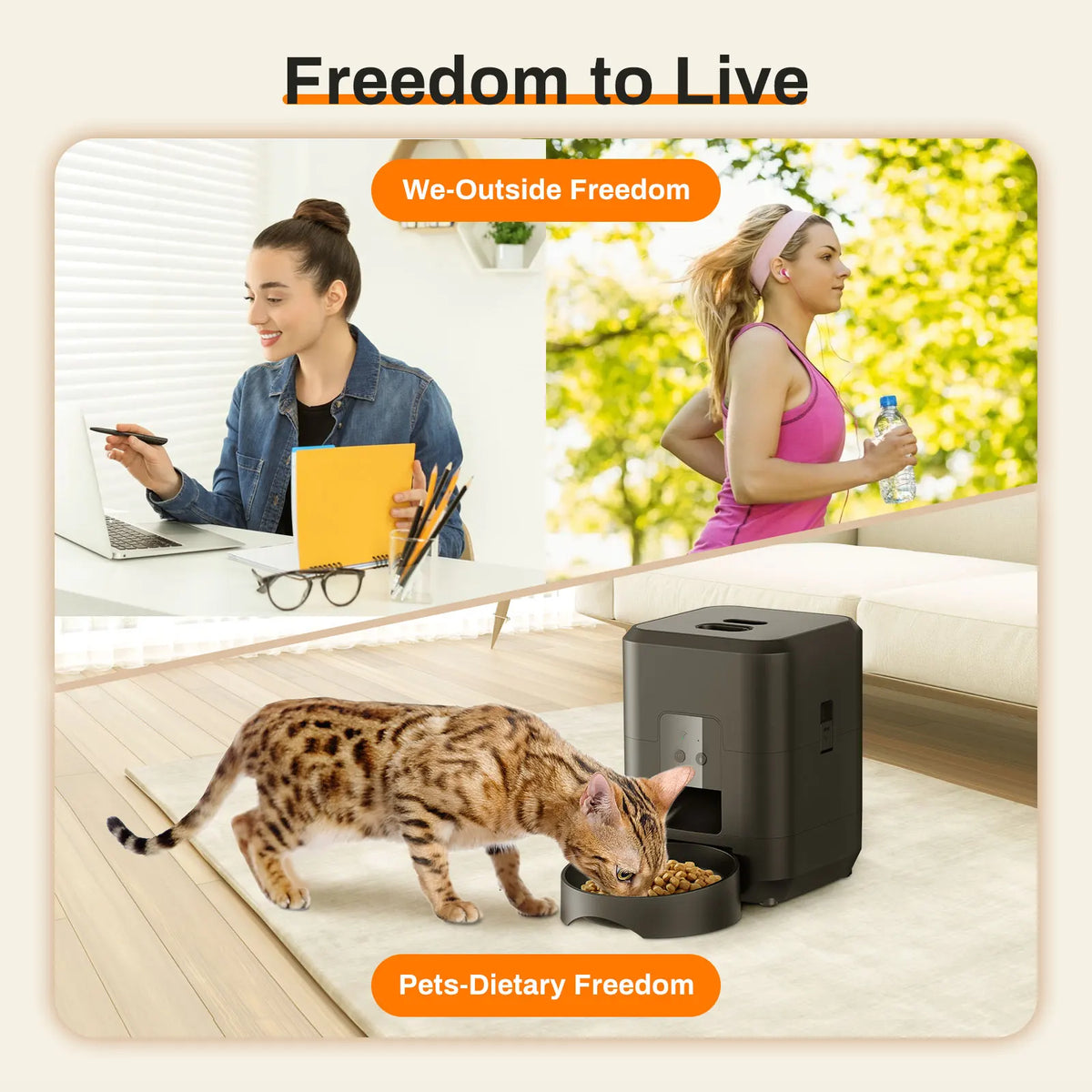 Distributeur automatique intelligent pour animaux de compagnie avec minuterie
