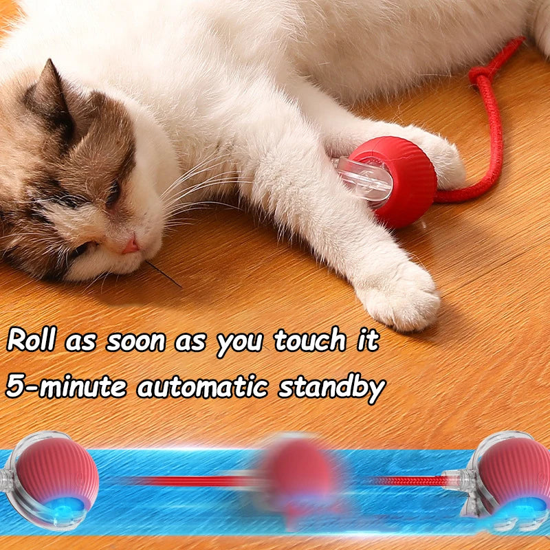 Balle Interactive Intelligente pour Chat
